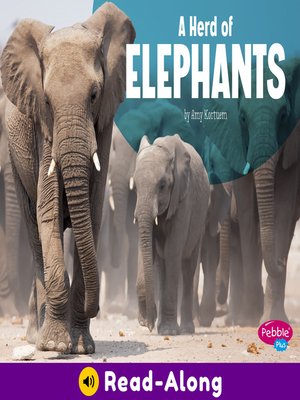 cover image of A Herd of Elephants